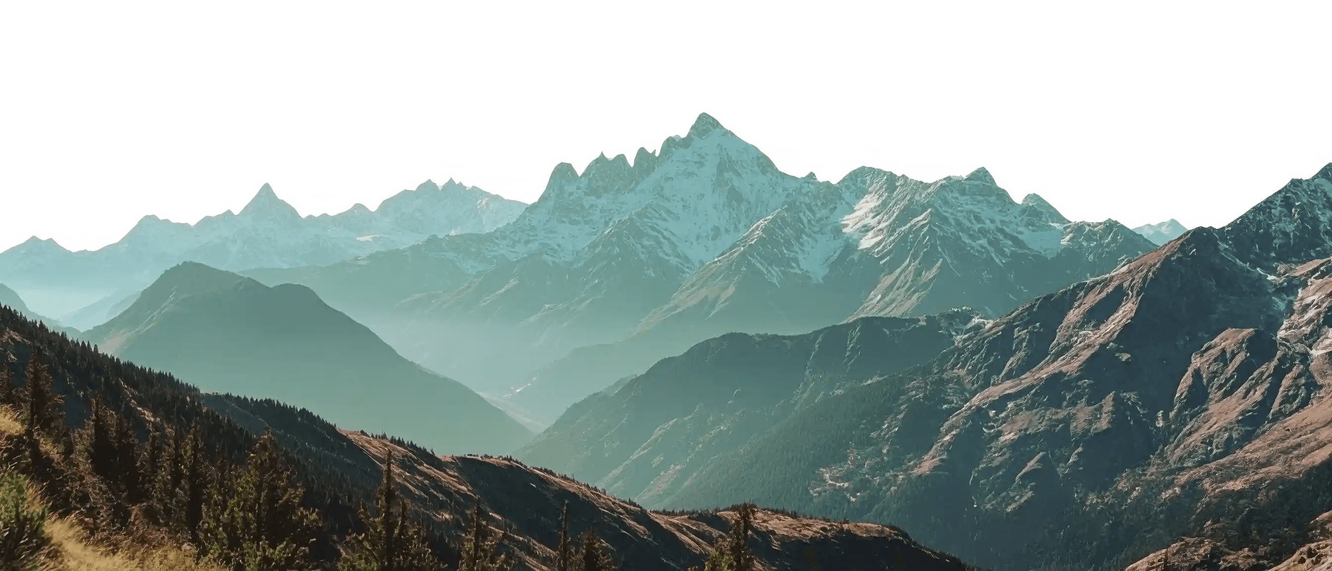 公司发展历程背景
