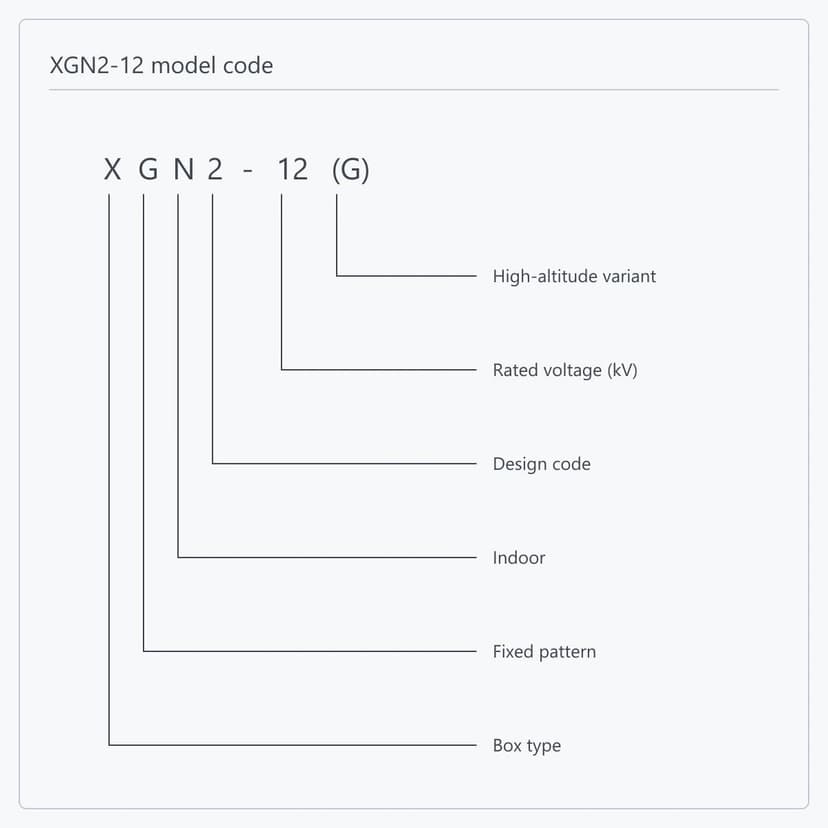 Position-by-position breakdown of the XGN2-12(G) type designation